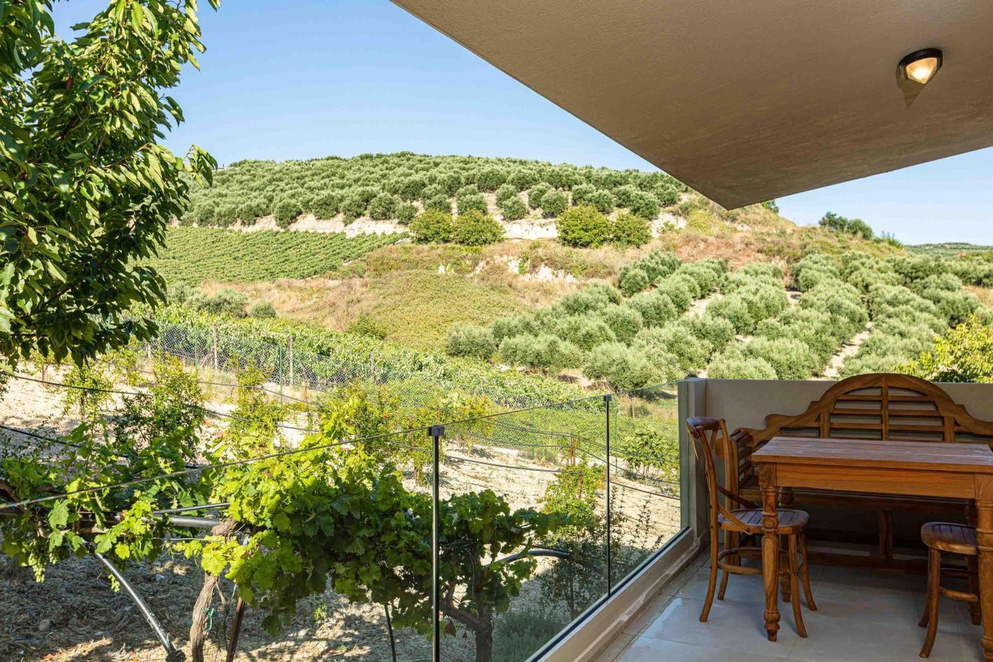 Villa Mantilari Wine Estate 7 Apartments 2 Private Pools 1 Heated Tennis Court Fitness Center 아르하네스 객실 사진